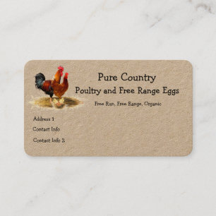 Carte De Visite Volaille, Poulet, Oeufs Courir, Bio