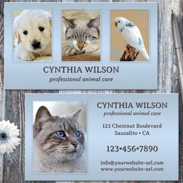 Carte De Visite Vos 4 Photos Clinique d'animaux ou soins Dusty Blu (Ver or animal business card featuring your photos (optional) framed by a dusty blue elegant design)