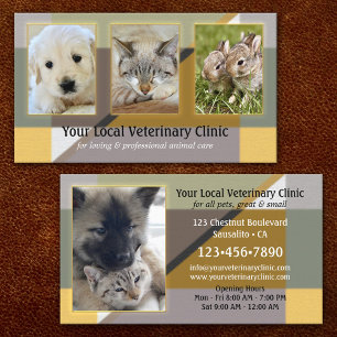 Carte De Visite Vos 4 Photos Clinique vétérinaire ou animale