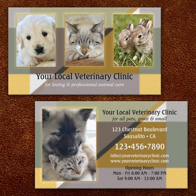 Carte De Visite Vos 4 Photos Clinique vétérinaire ou animale (Créateur téléchargé)