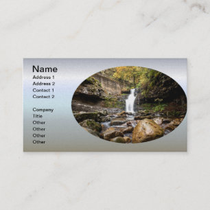 Carte De Visite Waterfall on the Rock
