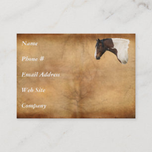 Carte de visite Western American Paint Horse
