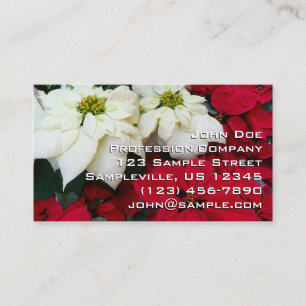 Carte De Visite White and Red Poinsettias