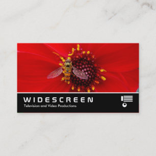 Carte De Visite Widescreen 145 - Syrphe sur un Dahlia