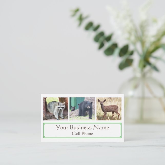 Carte De Visite Wildlife Raccoon Black Bear Cub Deer Amoureux des  (Debout devant)