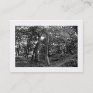 Carte De Visite Woods Bute Park, Cardiff, Mini Photo