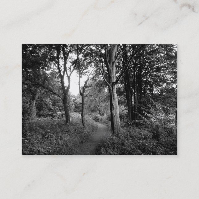 Carte De Visite Woods Bute Park, Cardiff, Mini Photo (Devant)