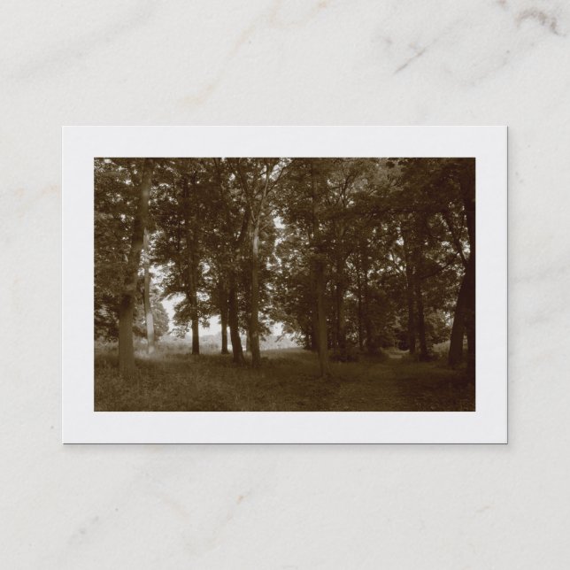 Carte De Visite Woods, Bute Park Cardiff - Sépia tonique (Bordée) (Devant)