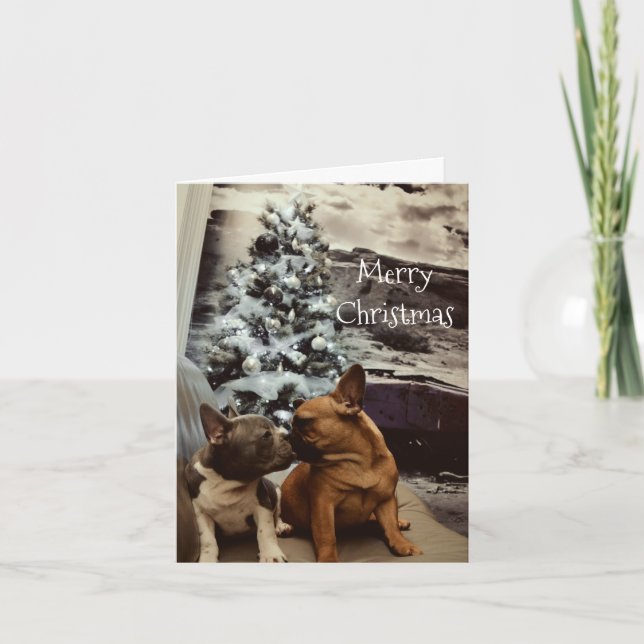 carte de voeux (Devant)