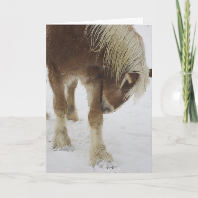 Carte de voeux (Devant)