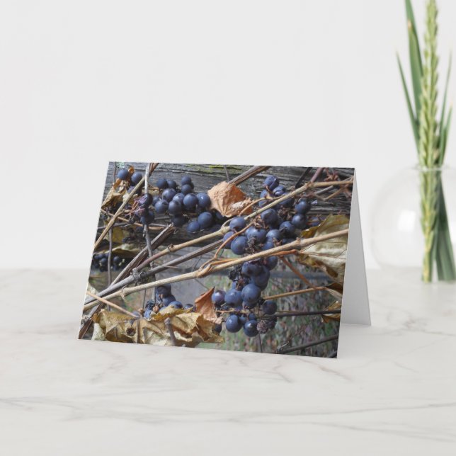 carte de voeux (Devant)