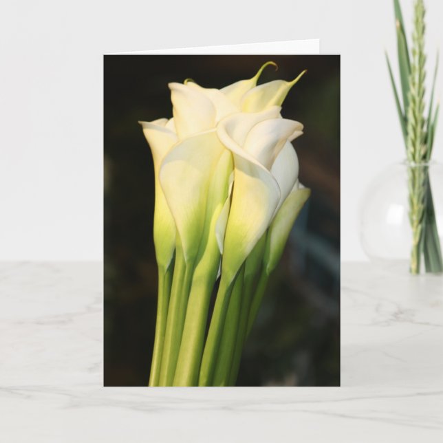 Carte de voeux (Devant)