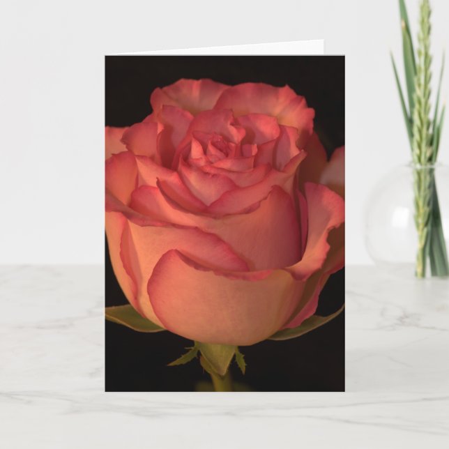 Carte de voeux (Devant)