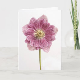 Carte de voeux à fleurs violettes