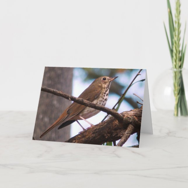 Carte de voeux à la poussée de bois (Devant)
