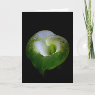 Carte de vœux à motif de calla blanche et verte