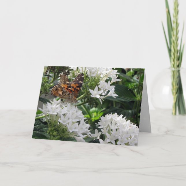 Carte de voeux à papillon peint (Devant)