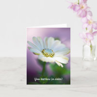 Carte de vœux African Daisy