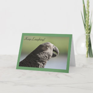 Carte de voeux African Grey Parrot "Keep Laughing"