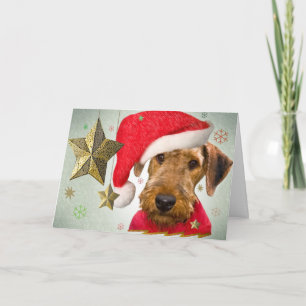 Carte de voeux Airedale Christmas Star