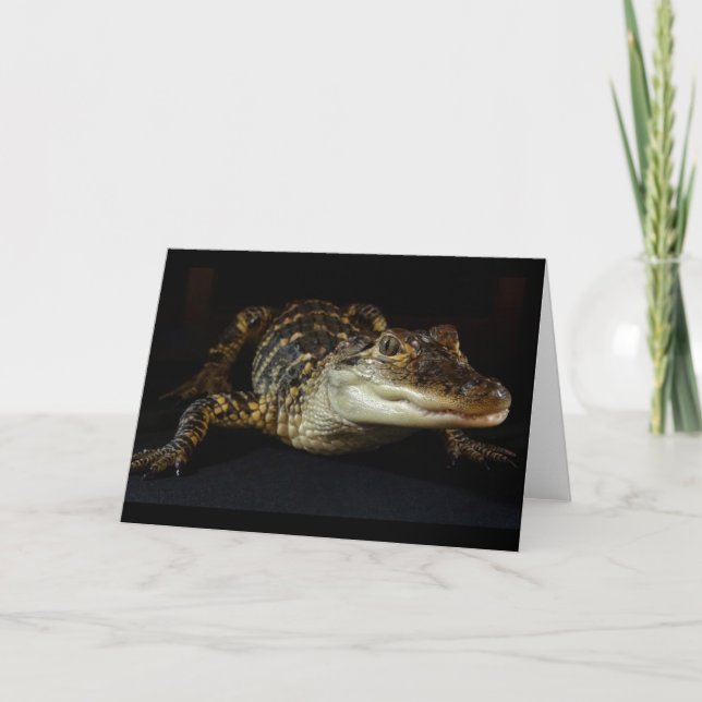 Carte de voeux Alligator vide à l'intérieur (Devant)