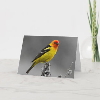 Carte de voeux américaine d'oiseau chanteur