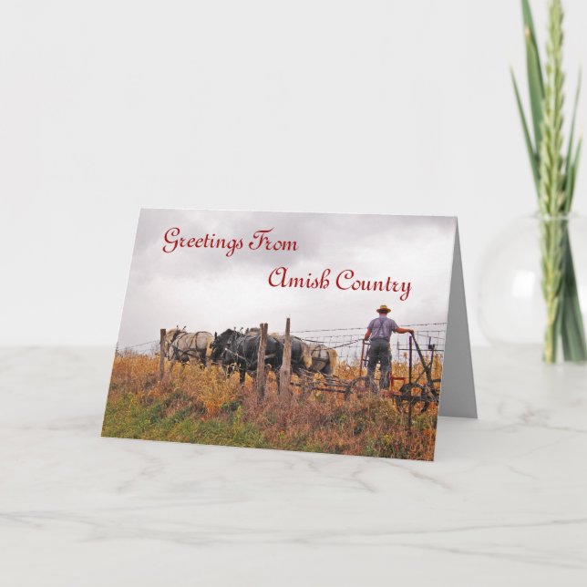 Carte de voeux Amish Man Cutting Field (Devant)