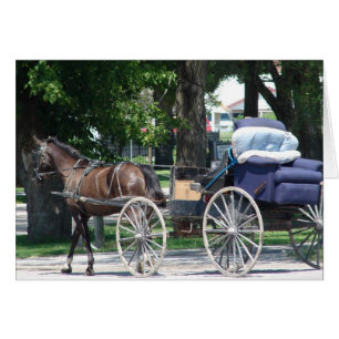 Carte de voeux Amish Recliner Toutes les occasions