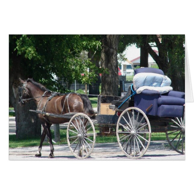 Carte de voeux Amish Recliner Toutes les occasions (Devant horizontal)