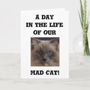 Carte de voeux amusante