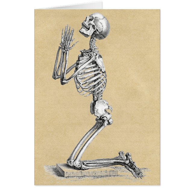 Carte de voeux Anatomy Skeleton (Devant)