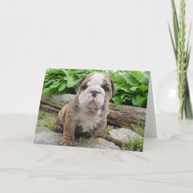 Carte de voeux anglaise de chiot de bouledogue (Devant)