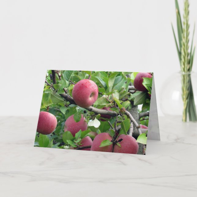 Carte de voeux Apple Tree (Devant)