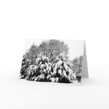 Carte de vœux artistique de scène naturelle d'arbr