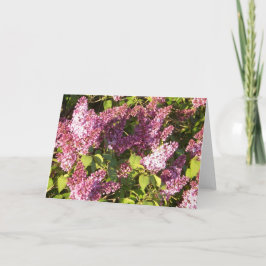 Carte de voeux assez pourpre de lilas