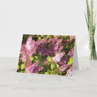 Carte de voeux assez pourpre de lilas