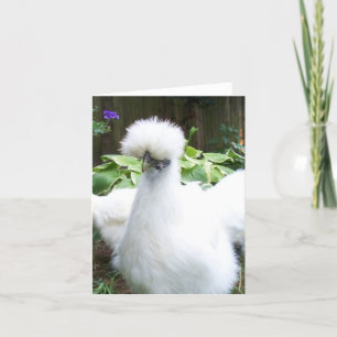 carte de voeux au poulet silkie