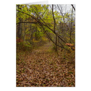 Carte de voeux Automne Walkway