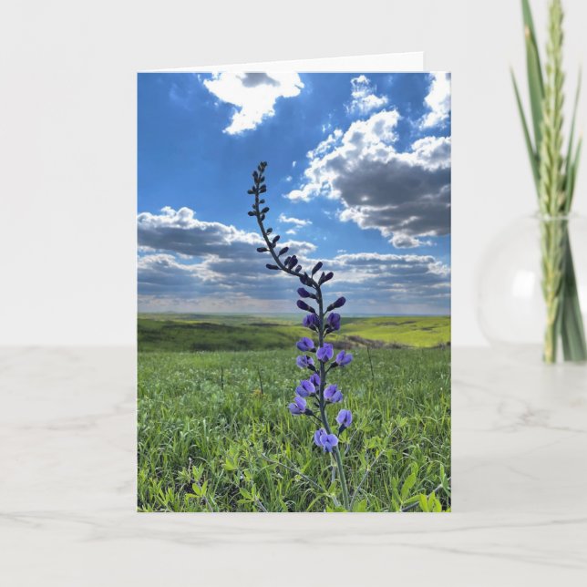 carte de voeux aux fleurs violettes (vide à l'inté (Devant)