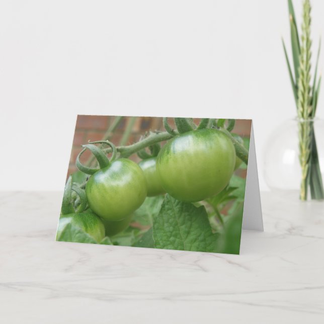 Carte de voeux aux tomates vertes (Devant)