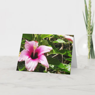Carte de vœux avec couverture florale rose