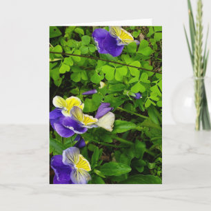 Carte de vœux avec des fleurs violettes et jaunes