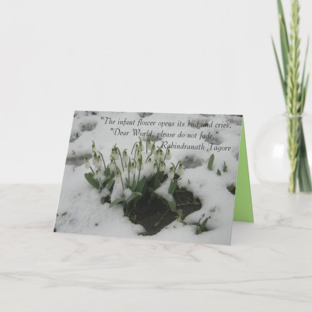 Carte de voeux avec devis réfléchi (Devant)