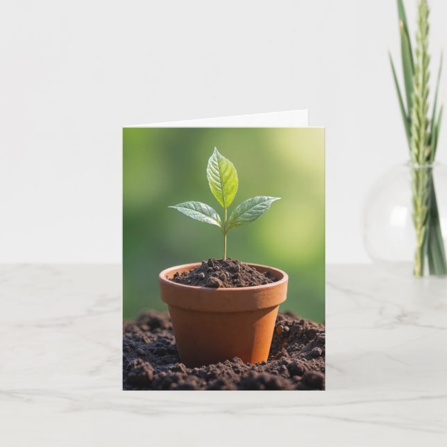 Carte de vœux avec jeune plant en pot de terre cui (Devant)