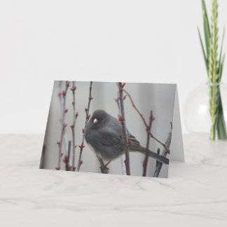 Carte de vœux avec oiseau dans un arbre