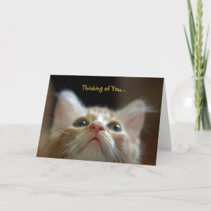 Carte de voeux avec Tabby Kitten orange adorable