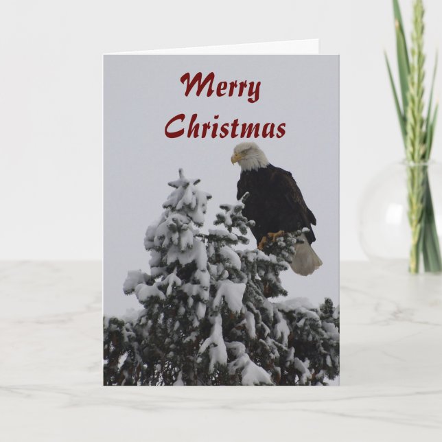 Carte de voeux Bald Eagle (Devant)