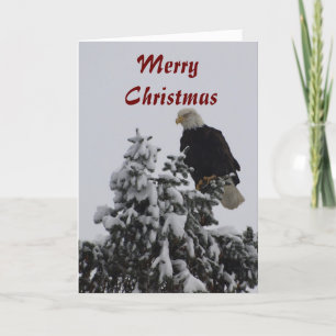 Carte de voeux Bald Eagle