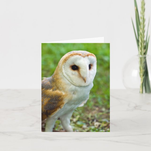 Carte de voeux Barn Owl (Devant)