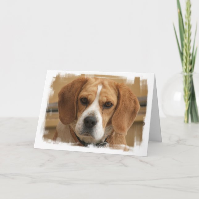 Carte de voeux beagle (Devant)